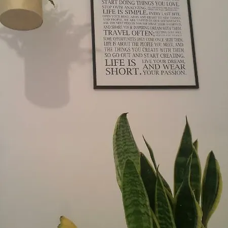 Apartmán Galliera Street