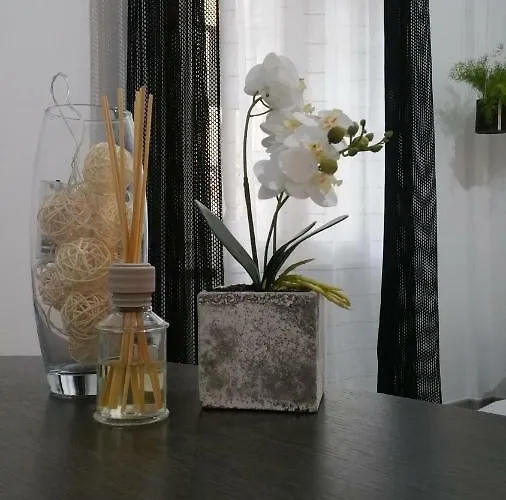 Galliera Street Bologne